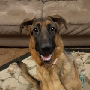 Meet your Posher, Ella